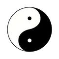 Take the YinYang tool for a spin